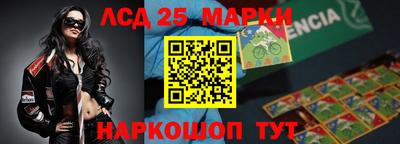 спиды Гай
