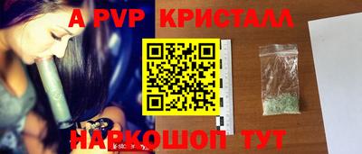 спиды Гай