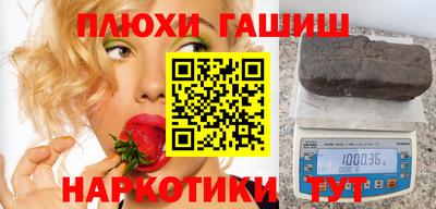 спиды Гай