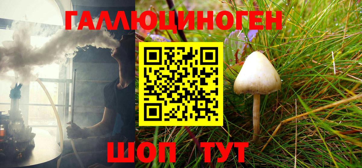 Электрогорск  Псилоцибиновые грибы Psilocybe  Галлюциногенные грибы Psilocybine cubensis  Вход с VPN 