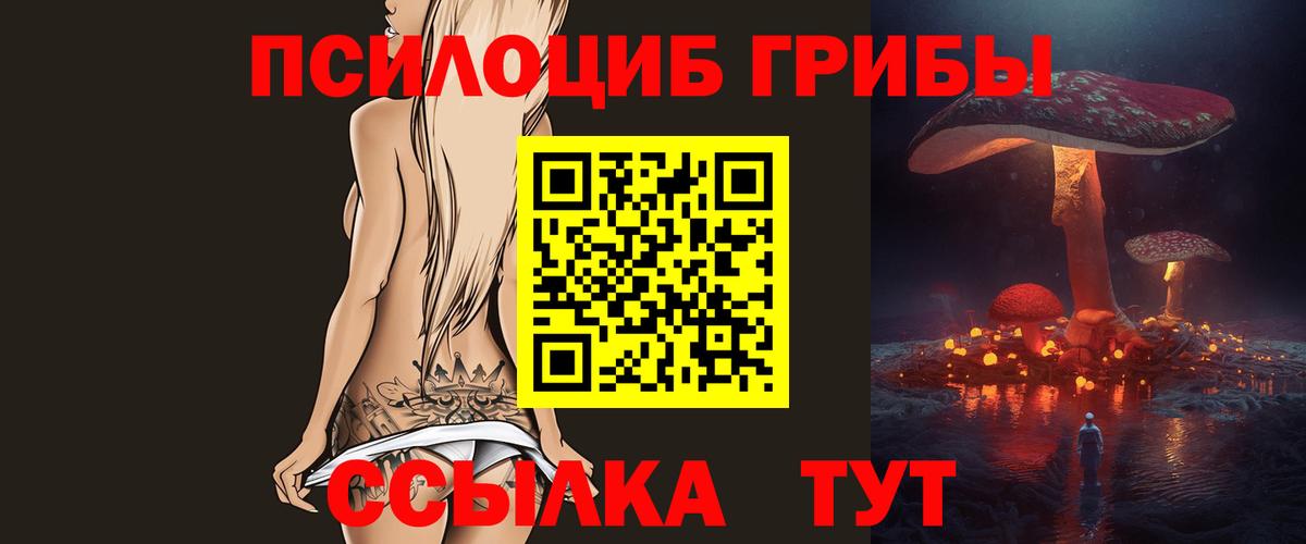 Псилоцибиновые грибы Psilocybe Электрогорск